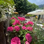 Ca' Ai Tigli Hotel 2*