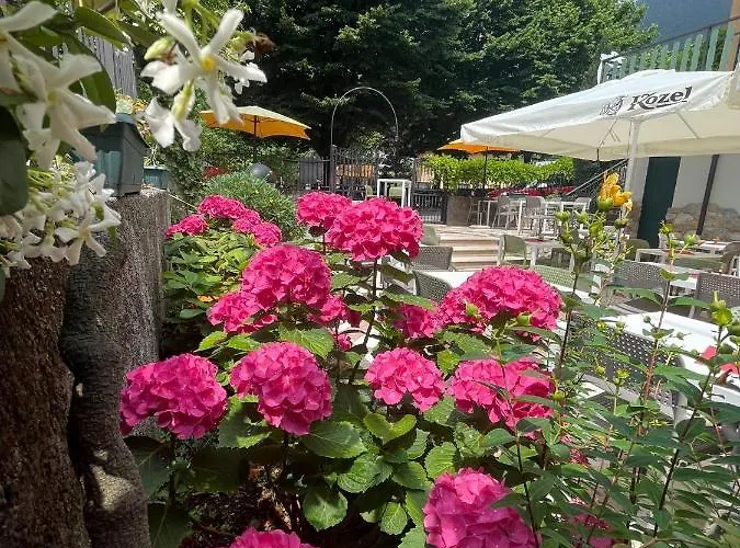 Ca' Ai Tigli Hotel 2*